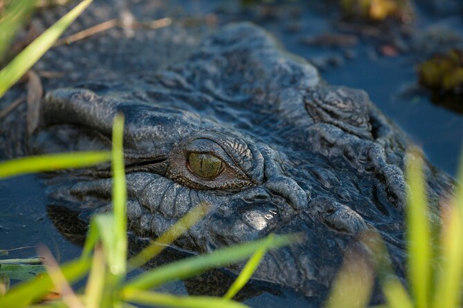 Kakadu National Park Evening Tour + Yellow Water Sunset Cruise - A 10:30 am start from Darwin