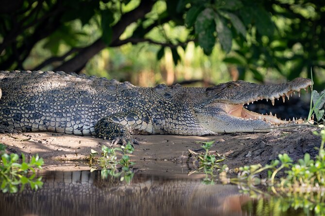 Kakadu National Park Evening Tour + Yellow Water Sunset Cruise - Bowali Visitor Centre and Kakadu’s cultural setting