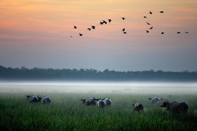 Kakadu National Park Evening Tour + Yellow Water Sunset Cruise - Dinner at the lodge before the evening cruise