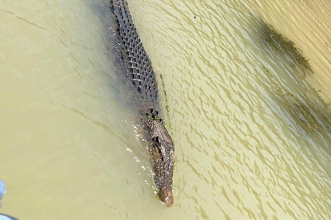 Kakadu National Park Scenic Flight &Yellow Water Cruise - Seeing Kakadu from a small aircraft