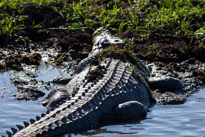Kakadu National Park Wildlife & Ubirr Rock Art Tour from Darwin - Key points before you book