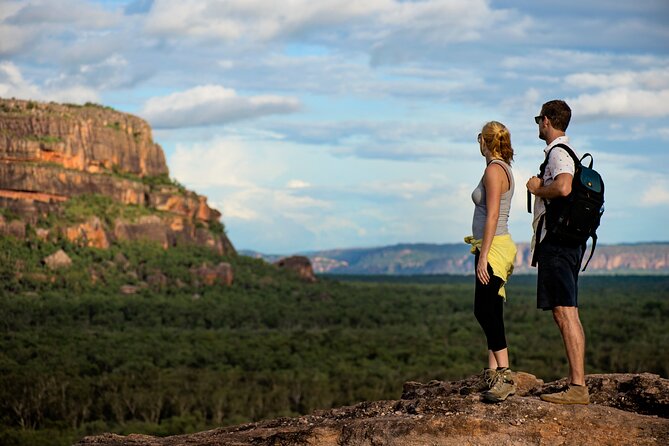 Kakadu National Park Wildlife & Ubirr Rock Art Tour from Darwin - What the mini-coach is really like