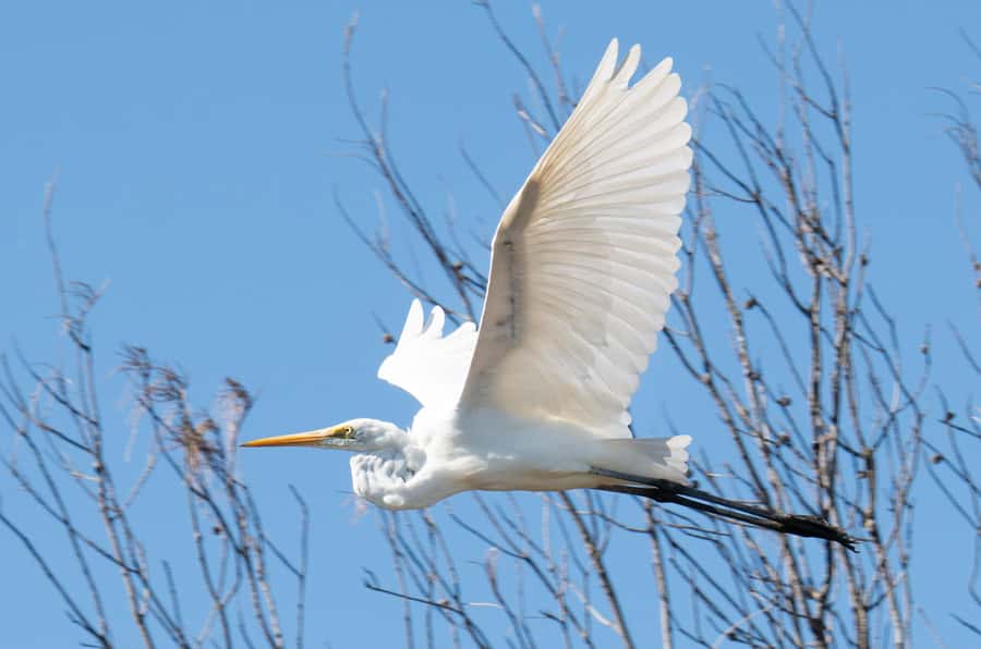 Kalbarri: Murchison River Wilderness Wildlife Cruise - Should you book the Murchison River Wilderness Wildlife Cruise?