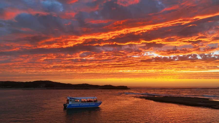 Kalbarri: Murchison River Wilderness Wildlife Cruise - Why this Murchison River trip is worth your time
