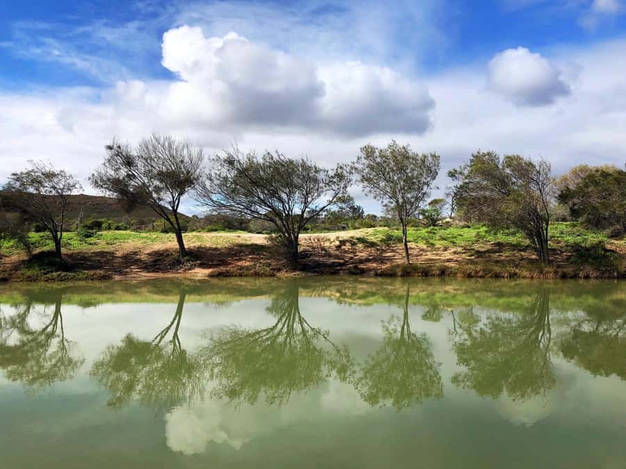 Kalbarri: Murchison River Wilderness Wildlife Cruise - Returning toward the river mouth