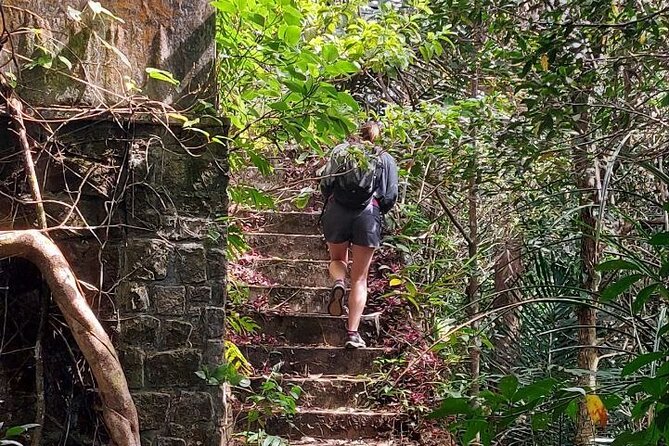 Kampot Day Tour "Bokor National Park" - The wider park, forest roads, and possible monkeys