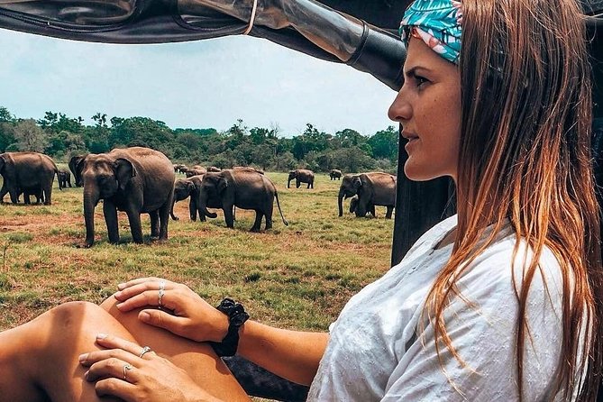 Kandy - Minneriya National park & Sigiriya Rock by tuk tuk tours - A quick taste of local life before Dambulla