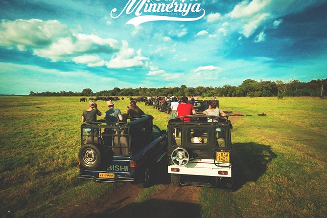 Kandy - Minneriya National park & Sigiriya Rock by tuk tuk tours - Dambulla Cave Temple requires time and energy