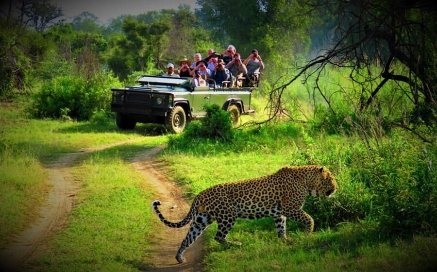 Kathmandu: 4-Day Private Chitwan National Park Safari Tour - Who Should Book This Chitwan Tour