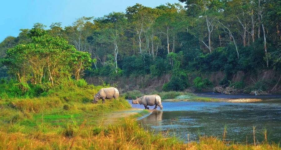 Kathmandu: 4-Day Private Chitwan National Park Safari Tour - Day Two: Jeep Tracks, River Water, and Elephants