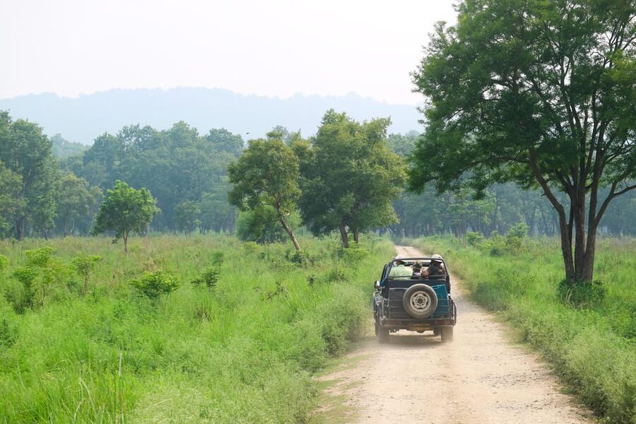 Kathmandu: 4-Day Private Chitwan National Park Safari Tour - Day Three: Choose a Walk or 20,000 Lake