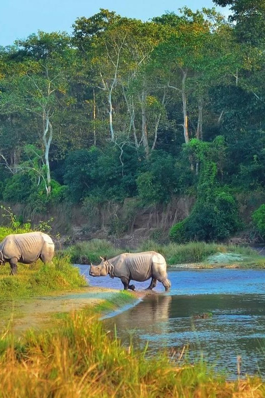 Kathmandu: 4-Day Private Chitwan National Park Safari Tour - Day Four: A Last Walk and the Ride Back