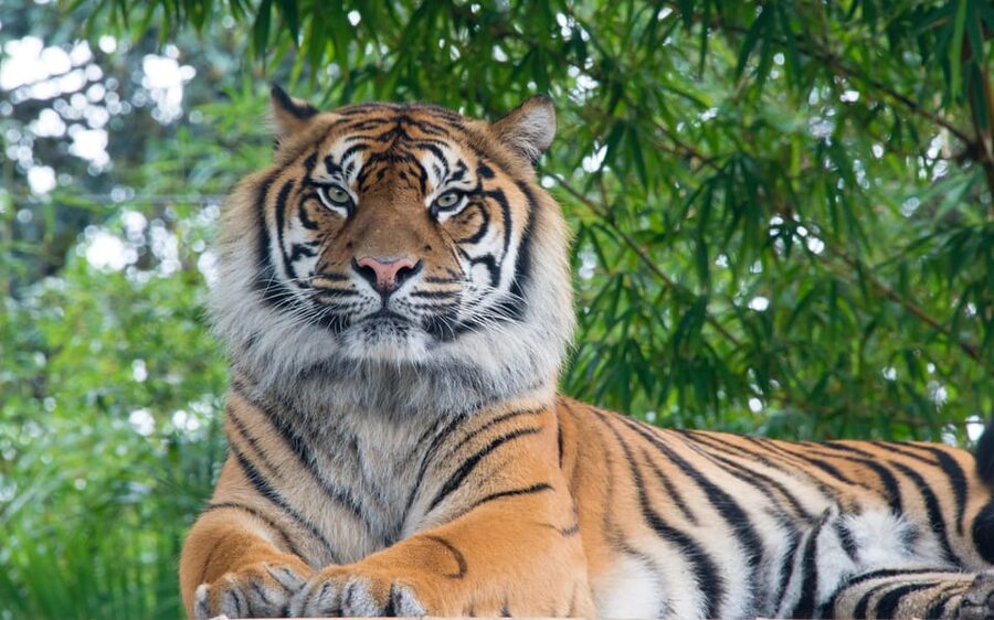 Kathmandu: 4-Day Private Chitwan National Park Safari Tour - The Best Parts, and the Limits