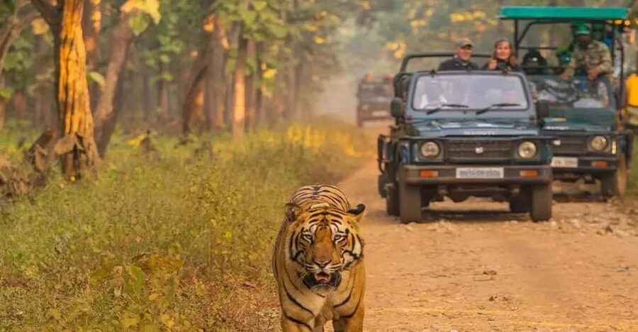 Kathmandu: 4-Day Private Chitwan National Park Safari Tour - Day One: From Kathmandu to Tharu Culture