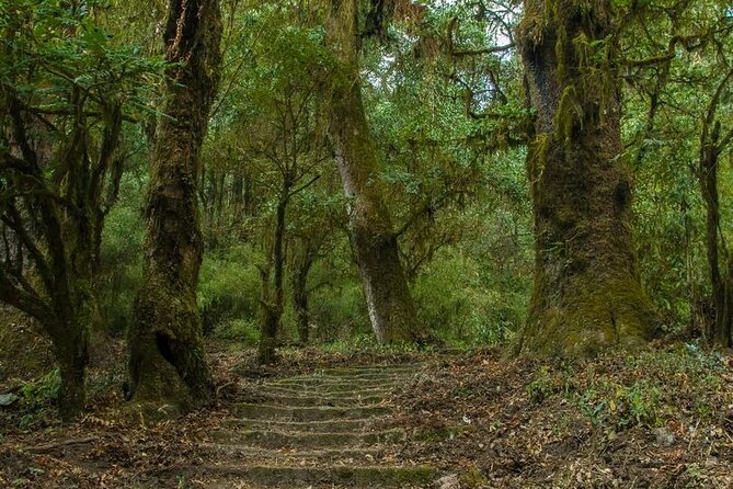 Kathmandu Shivapuri National Park and Nagarkot Hiking - 3 Days - Walking through Nepal’s mid-hills