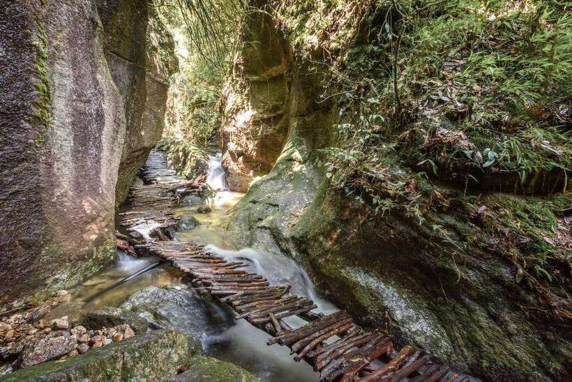 Kathmandu: Shivapuri National Park Day Hike with Lunch box - Walking the six-hour forest trail