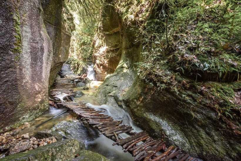 Kathmandu: Shivapuri National Park Day Hike with Lunch box - Is $60 a fair price?