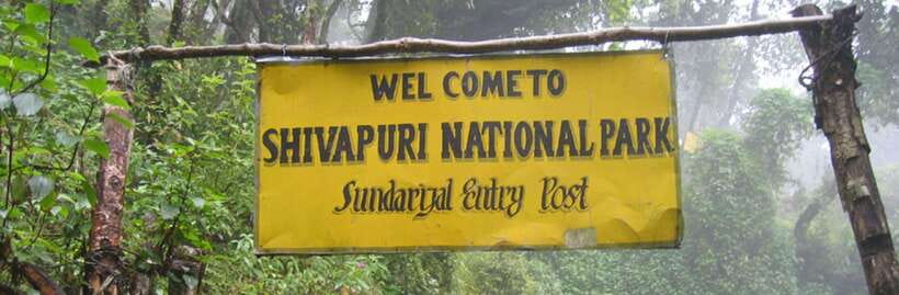 Kathmandu: Shivapuri National park Day Hiking - How the guides shape the day