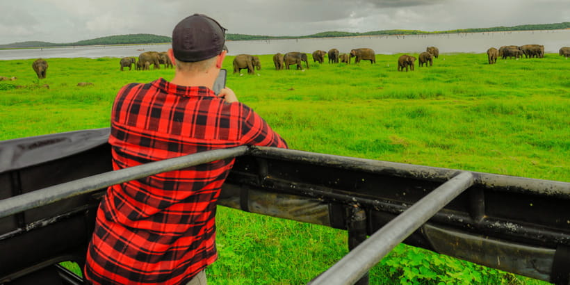 Kaudulla National Park Half Day Sri Lanka Jeep Safari - Key points to know before you go