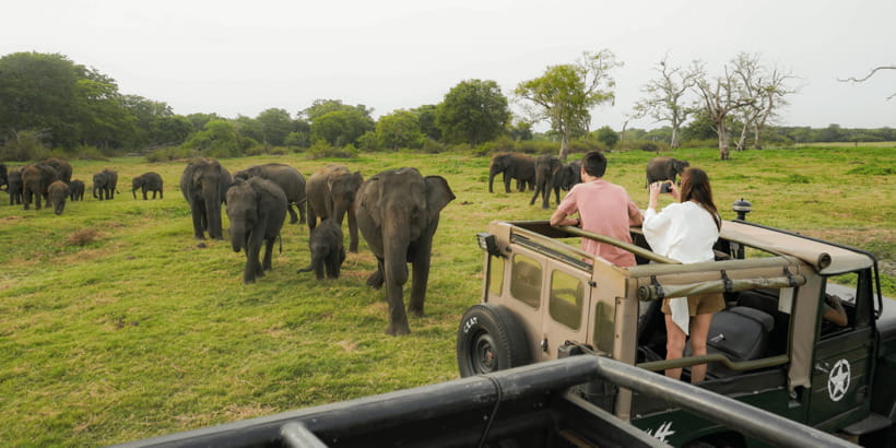 Kaudulla National Park Half Day Sri Lanka Jeep Safari - The jeep ride: useful, open, and bumpy