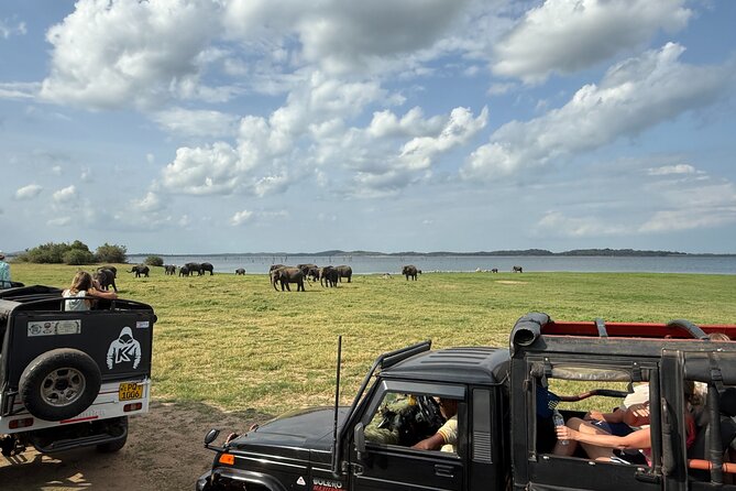 Kaudulla National Park Safari [private , full package] - Who will enjoy this safari most?