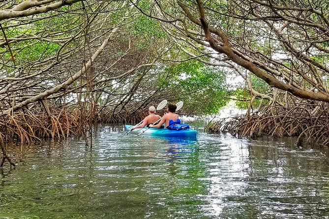 Kayak Adventure of Shell Key Preserve & Island with a Local - Meeting in Tierra Verde for a 9 a.m. start