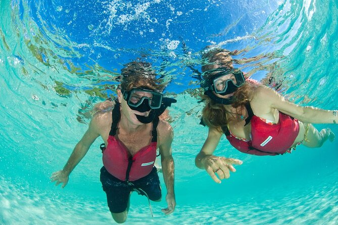Kayak & Snorkel with Sea Turtles, National Park, St. John - The Turtle Point walk through St. John’s forest