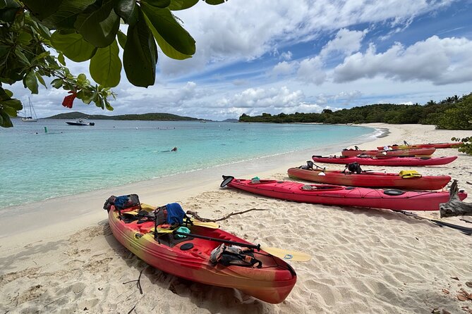 Kayak & Snorkel with Sea Turtles, National Park, St. John - Snorkeling where turtles feed