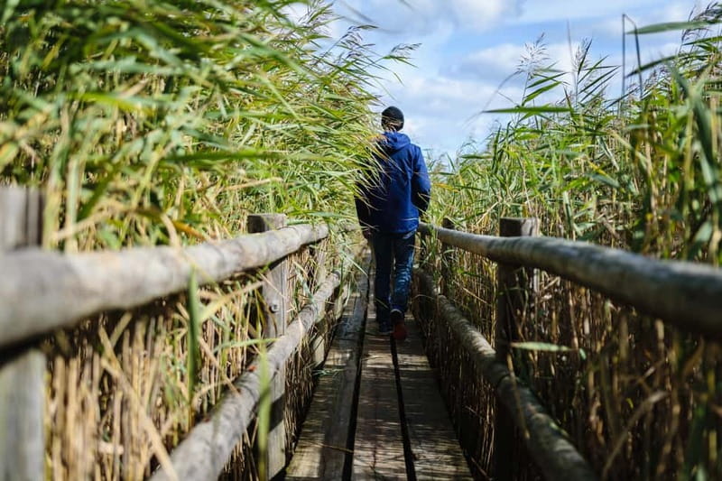 Kemeri National Park & Baltic Seaside Tour Bog Boardwalk - Why Ķemeri makes a fine break from Riga