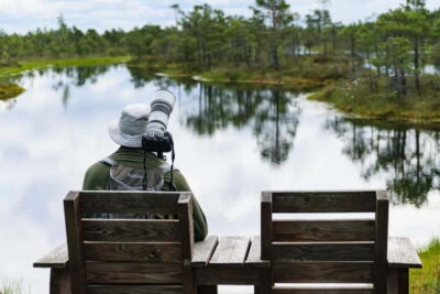 Kemeri National Park & Baltic Seaside Tour Bog Boardwalk