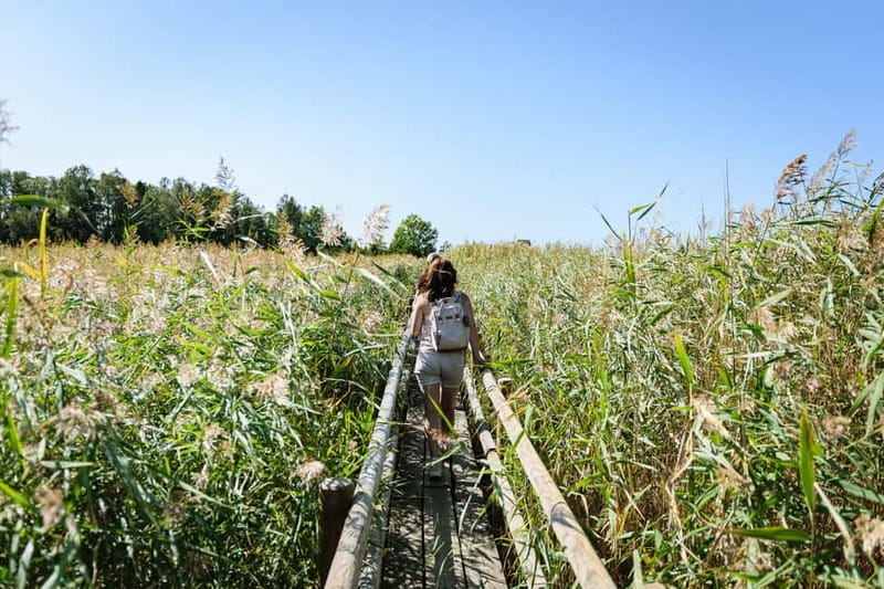 Kemeri National Park & Baltic Seaside Tour Bog Boardwalk - Baltic coast, fishing boats, and a village feel