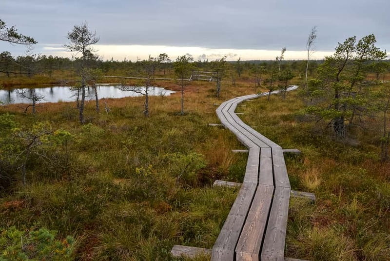 Kemeri National Park & Baltic Seaside Tour Bog Boardwalk - Jūrmala for the final hour