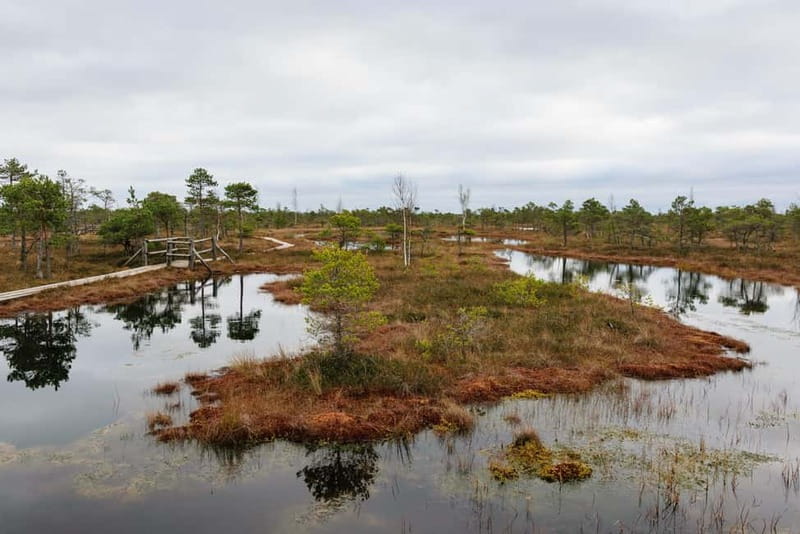 Kemeri National Park & Baltic Seaside Tour Bog Boardwalk - Walking distance, pace, and what to pack