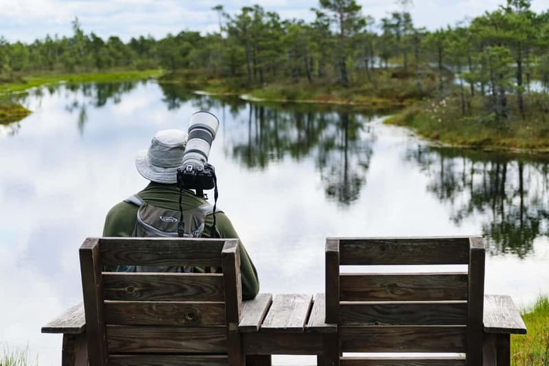 Kemeri National Park & Baltic Seaside Tour Bog Boardwalk - Two hours across the Ķemeru Lielais Tīrelis bog