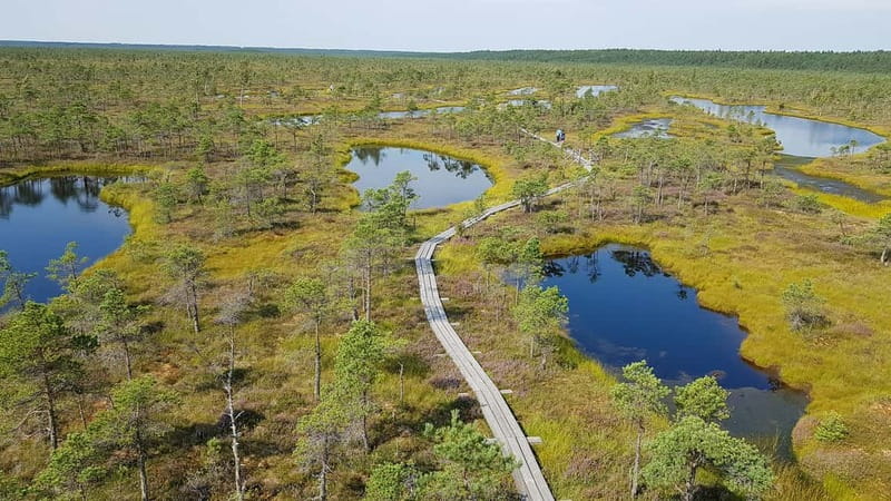 Kemeri National Park Bog Trail near Riga - Why Kemeri makes a good day outside Riga
