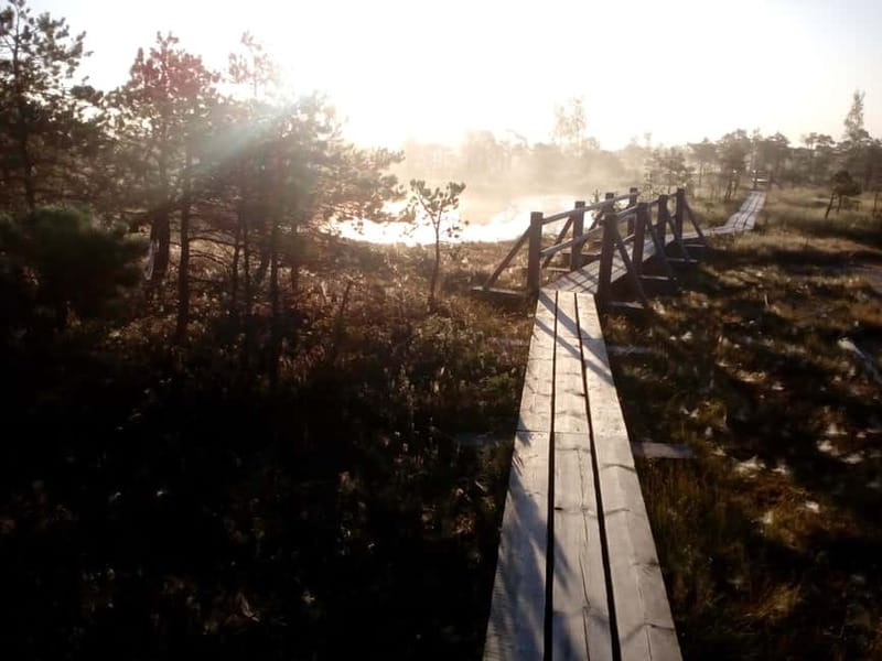 Kemeri National Park Bog Trail near Riga - The 8-meter viewing tower