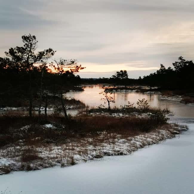 Kemeri National Park Bog Trail near Riga - Armands and the small-group advantage