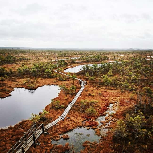 Kemeri National Park Bog Trail near Riga - The best season for this outing
