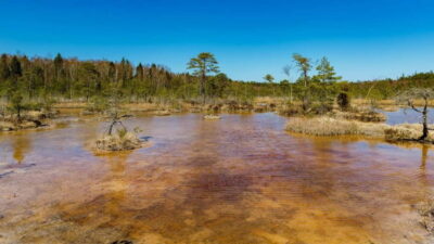 Kemeri National Park Outdoor Tour