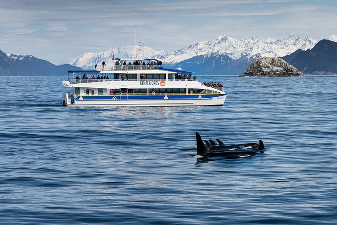 Kenai Fjords National Park Glacier & Wildlife Cruise - Lunch, warm drinks, and the practical side of six hours