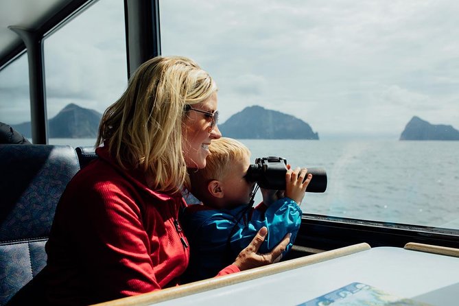 Kenai Fjords National Park Glacier & Wildlife Tour from Seward - Choosing between Aialik and Holgate Glacier