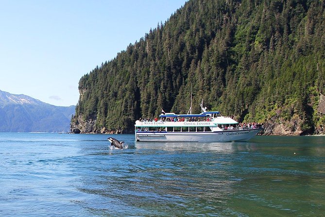 Kenai Fjords National Park Glacier & Wildlife Tour from Seward - Wildlife watching on the way out and back