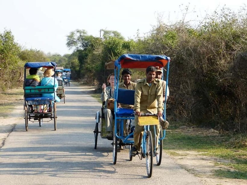 Keoladeo National Park Tickets and Guided Tour - Key points at a glance