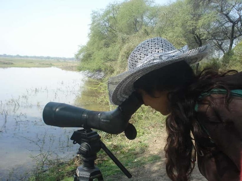 Keoladeo National Park Tickets and Guided Tour - Choosing between walking, rickshaw, and a guide