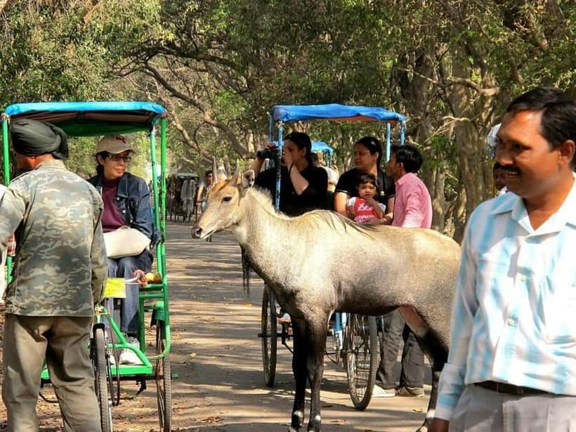 Keoladeo National Park Tickets and Guided Tour - Adding the Agra transfer