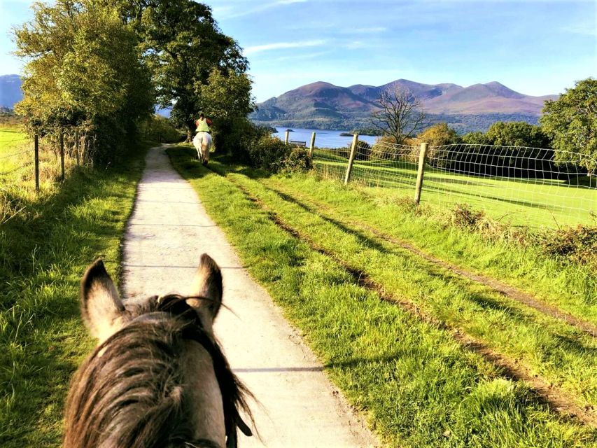 Kerry: Guided Horse Riding Tour in Killarney National Park - Key points before you saddle up
