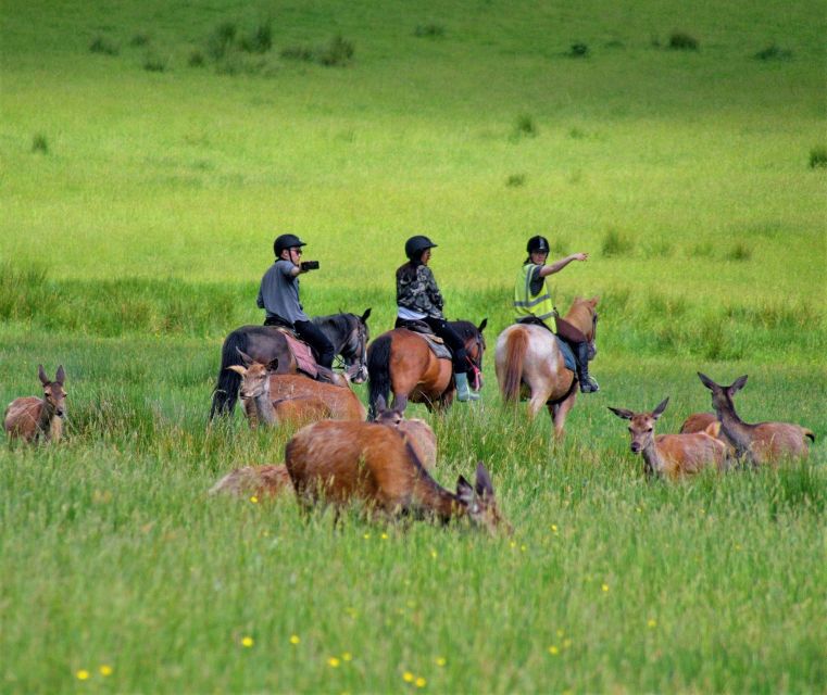 Kerry: Guided Horse Riding Tour in Killarney National Park - Following the trail into Knockreer Estate