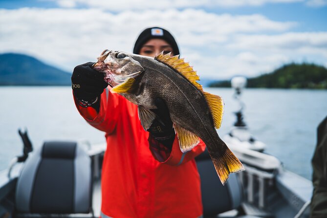 Ketchikan Alaska Fishing and Wilderness Dining - Who will enjoy this Ketchikan fishing trip?