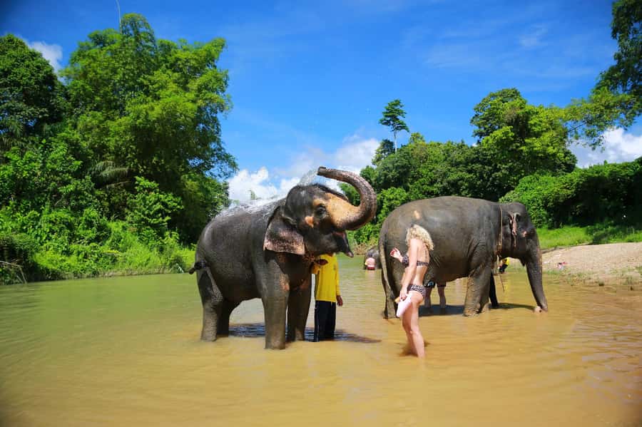 Khao Lak: Khao Sok National Park Overnight Treehouse Trip - Should you book the Khao Sok treehouse trip?