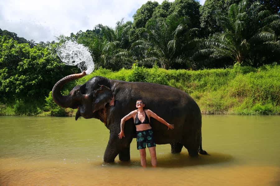 Khao Lak: Khao Sok National Park Overnight Treehouse Trip - A treehouse night at Rock and Tree House Resort
